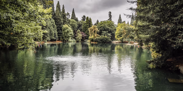 Laurelhurst Park Off Leash Area photo 1